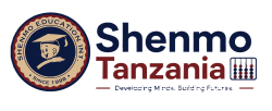Shenmo Abacus Tanzania